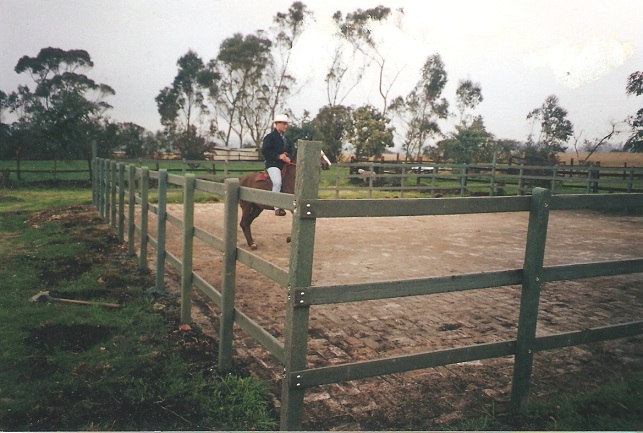 corral establo pesebrera para caballos corrales caballos pesebreras caballos establos caballos picadero corral pista caballería caballos de paso fino equitación salto trocha percherones 03 corral establo pesebrera para caballos corrales caballos pesebreras caballos establos caballos picadero corral pista caballería corral establo pesebrera para caballos corrales caballos pesebreras caballos establos caballos picadero corral pista caballería caballos de paso fino equitación salto trocha percherones 03 caballos de paso fino equitación salto trocha percherones 03